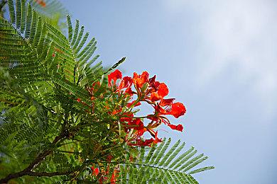 《赛博朋克2077》1.3版AVX Mod修复旧CPU问题